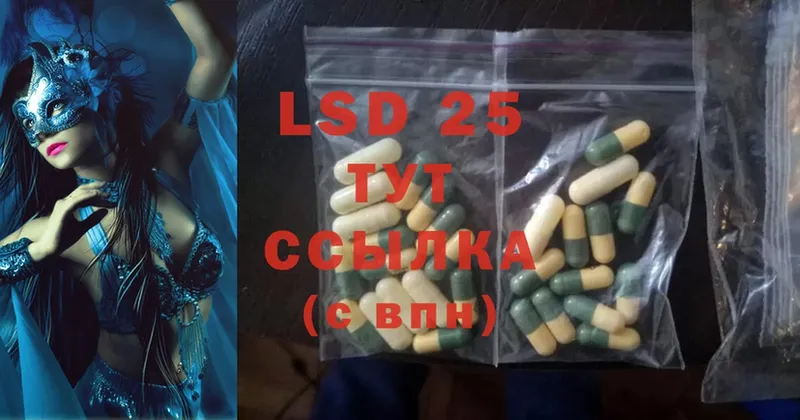 Лсд 25 экстази ecstasy  где продают   Курчалой 